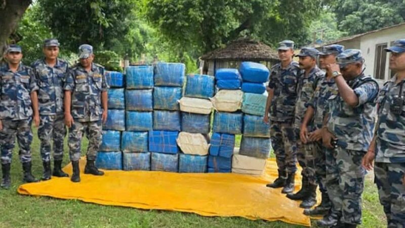 बाँसघारीमा लुकाएको ८३५ किलो गाँजा सशस्त्र प्रहरी द्वारा बरामद