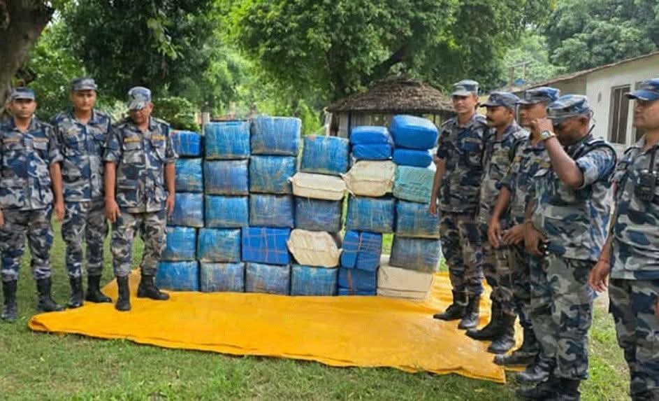 बाँसघारीमा लुकाएको ८३५ किलो गाँजा सशस्त्र प्रहरी द्वारा बरामद