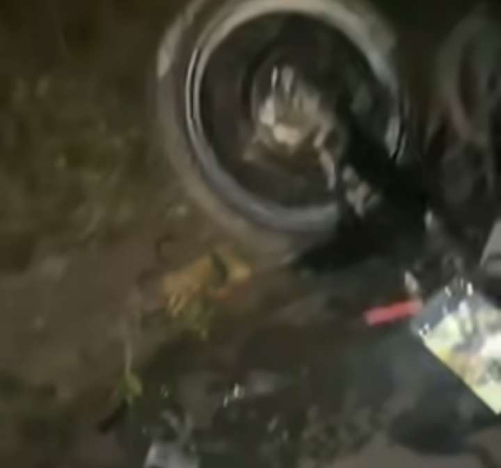 कारले माेटरसाइकललाइ ठक्कर दिँदा दमाैलीका श्रेष्ठ घाइते