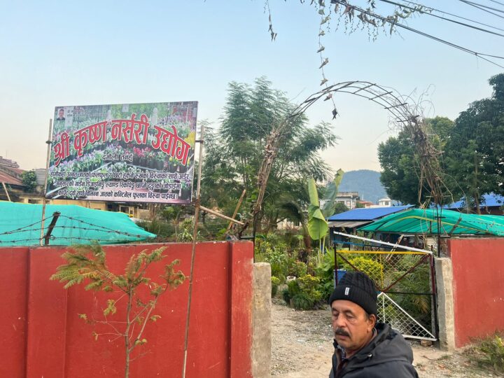 व्यास ३ पुरानो प्रशासन कार्यालय अगाडि महेन्द्र पार्कमा रहेको श्रीकृष्ण नर्सरी त्यसको आडैमा सर्याे