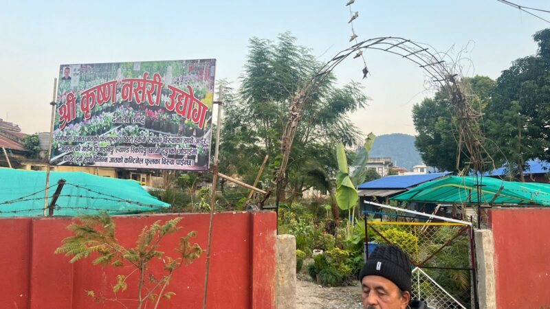 व्यास ३ पुरानो प्रशासन कार्यालय अगाडि महेन्द्र पार्कमा रहेको श्रीकृष्ण नर्सरी त्यसको आडैमा सर्याे