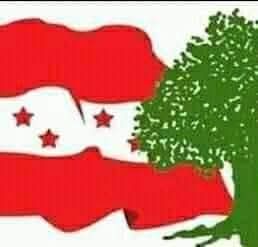 तनहुँ कांग्रेस सभापतिका ‘हेवीवेट’ वडामै हार्ने डरले चुपचाप , चर्चामा काे काे ?