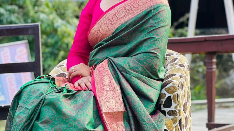 दमौली बजार इकाईको सचिवमा सिम्रन चन्द मनाेनीत , महिला उद्यमशीलताको नयाँ ऊर्जा
