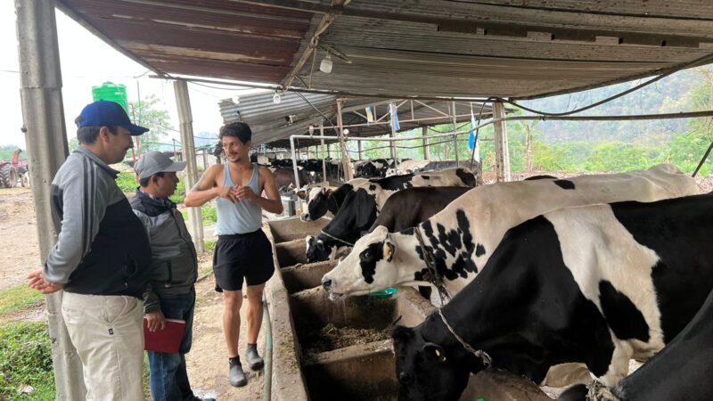 प्रमुख जिल्ला अधिकारी   तिवारी द्वारा याम्पाका कृषक भट्टराईकाे कृषि फर्मकाे निरीक्षण