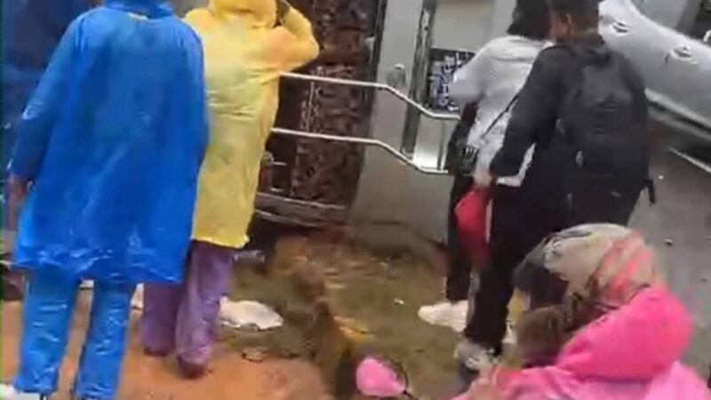 पृथ्वी राजमार्गकाे कमलबारीमा हाईस दुर्घटना, ९ जना घाइते