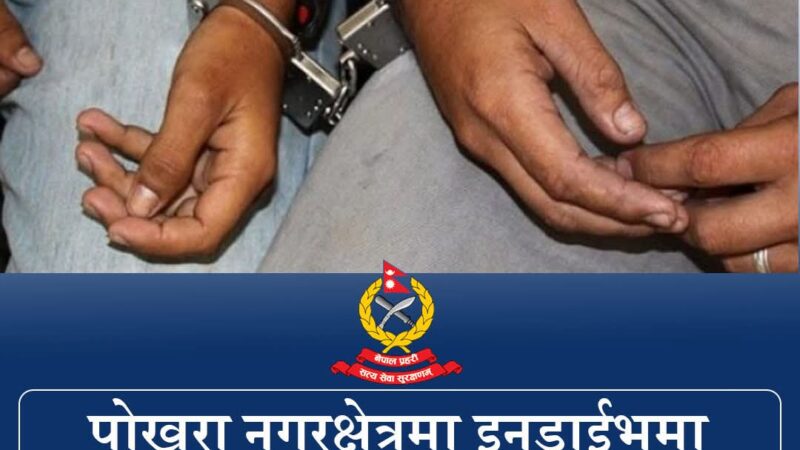 तनहुँका मिया सहित १० जना पोखरामा ‘अफलाइन पठाओ’ तथा इनड्राइभ प्रकरणमा पक्राउ