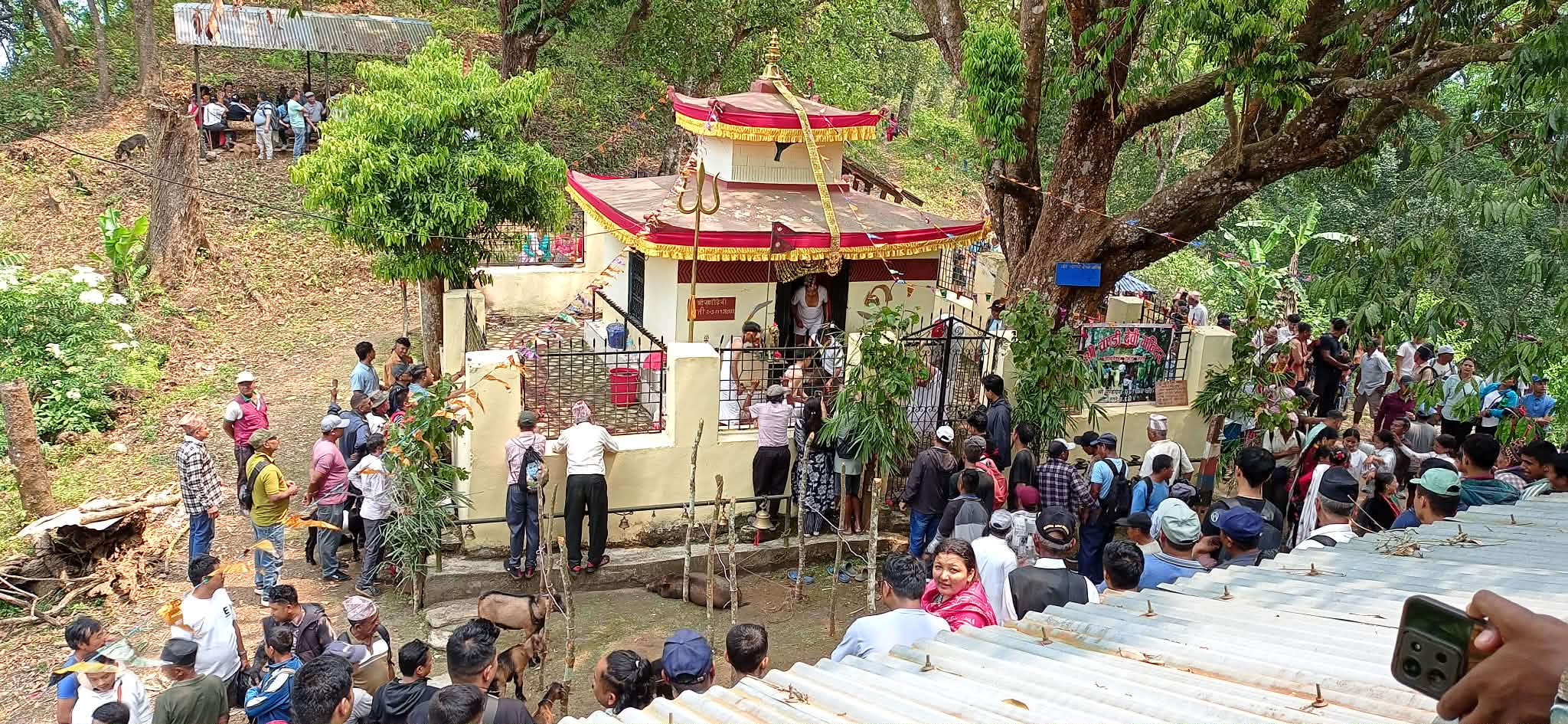 दभुङ चण्डी पूजा सम्पन्न