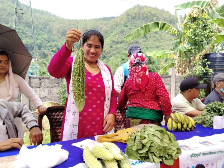 म्याग्देमा स्थानीय उत्पादन प्रवर्द्धन मेला सुरु, ७ सय ग्रामको करेला आकर्षण
