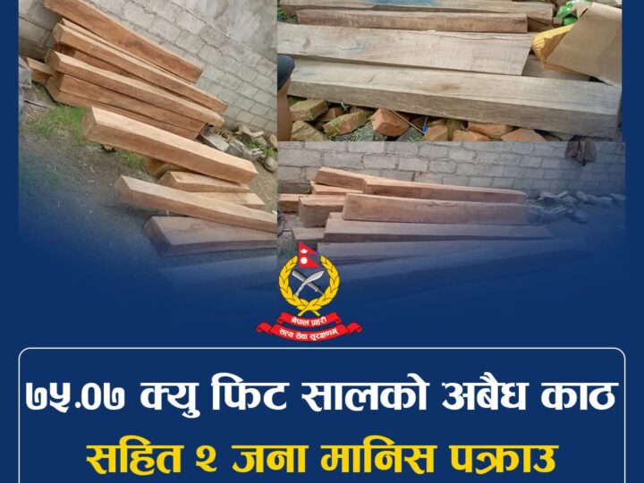 तनहुँमा अवैध सालको काठसहित दुई पक्राउ