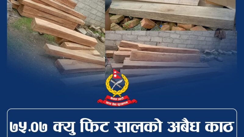 तनहुँमा अवैध सालको काठसहित दुई पक्राउ