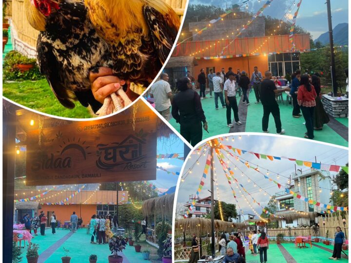 हरियाली डाँडामा उदाउँदै आकर्षण: डाँडाघर रिसोर्ट पर्यटकको पहिलो रोजाइ बन्दै