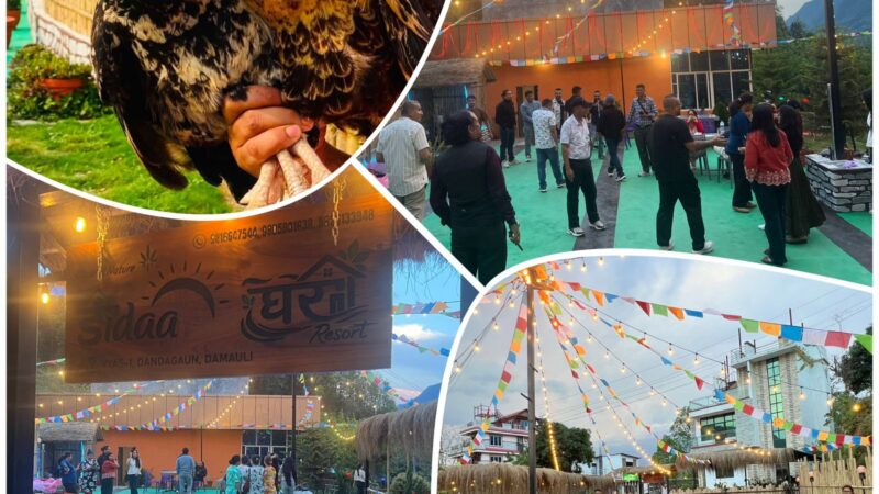 हरियाली डाँडामा उदाउँदै आकर्षण: डाँडाघर रिसोर्ट पर्यटकको पहिलो रोजाइ बन्दै