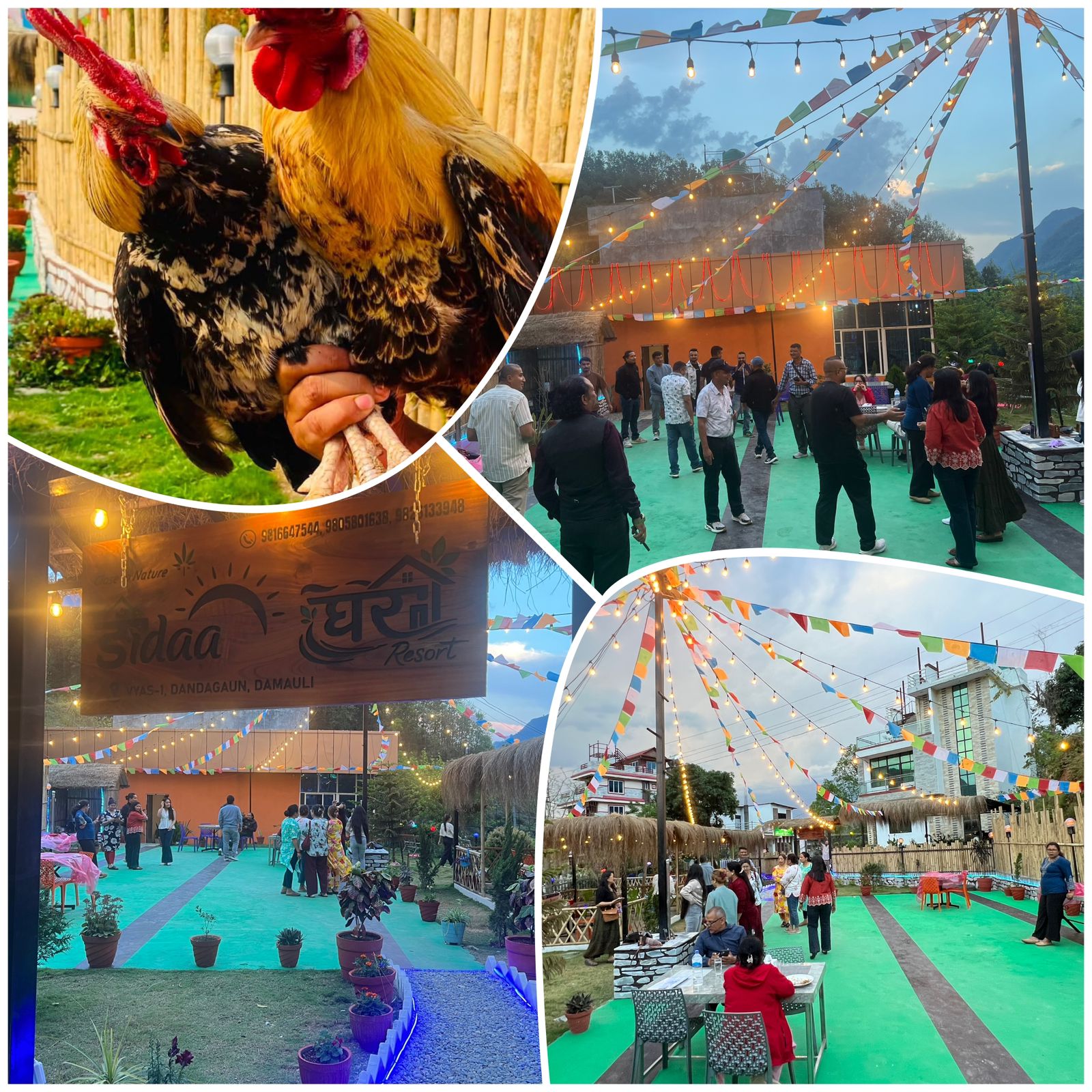 हरियाली डाँडामा उदाउँदै आकर्षण: डाँडाघर रिसोर्ट पर्यटकको पहिलो रोजाइ बन्दै