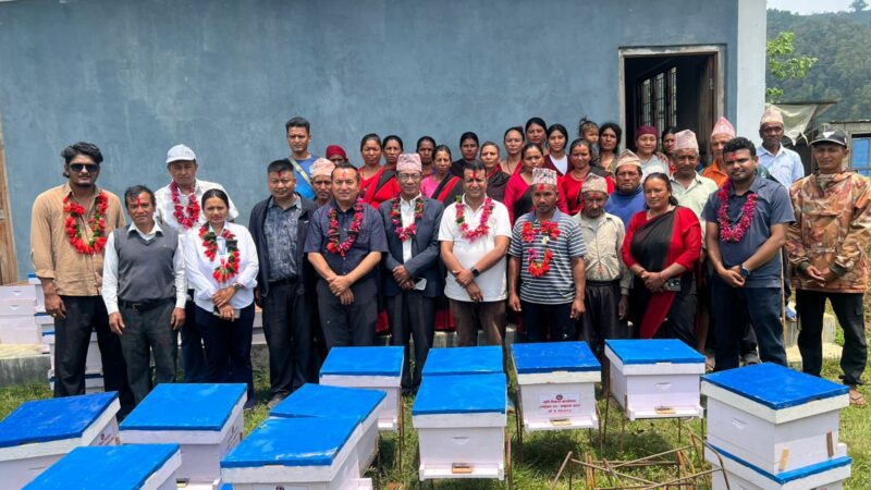 भिमाद ७ मसरडाँडाका विपन्न तथा दलित समुदायलाई कृषि कार्यालय द्वारा मौरी घार र चल्ला वितरण