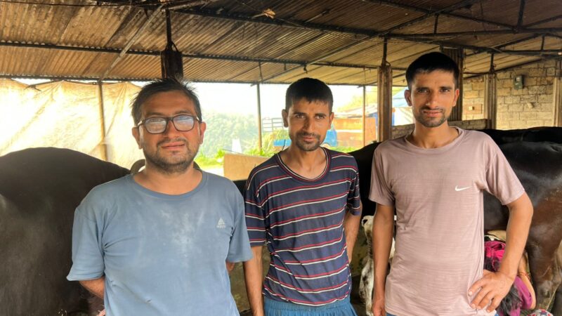 म्याग्दे गाउँपालिका–१ गुणादी मा तीन भाइद्वारा नमुना कृषि तथा पशुपालन व्यवसाय